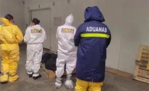 El fentanilo en declive