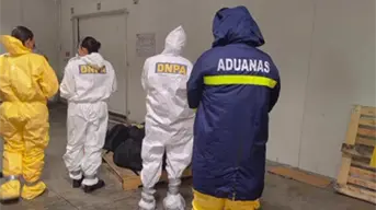 El fentanilo en declive