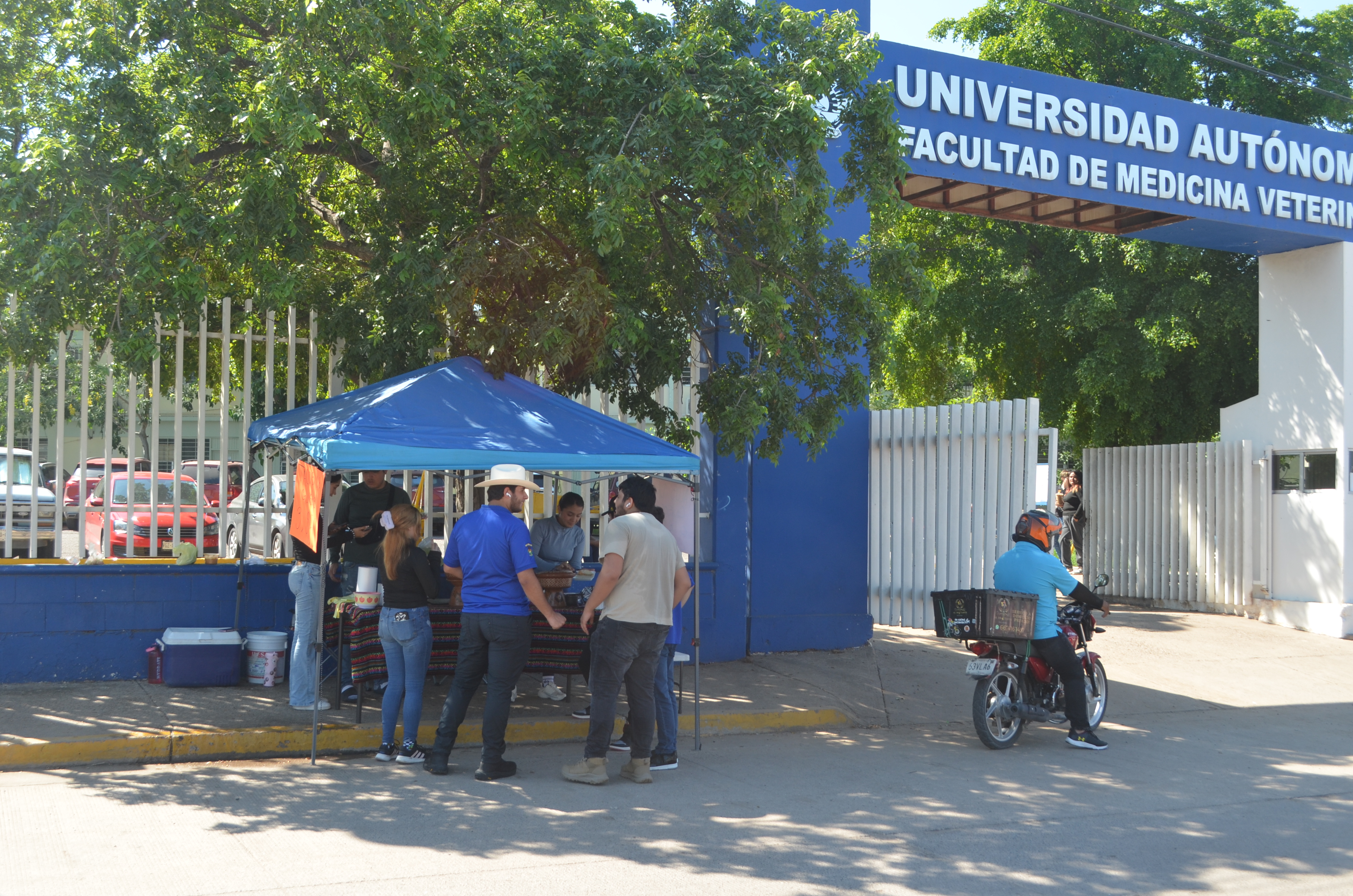 Imagen 24