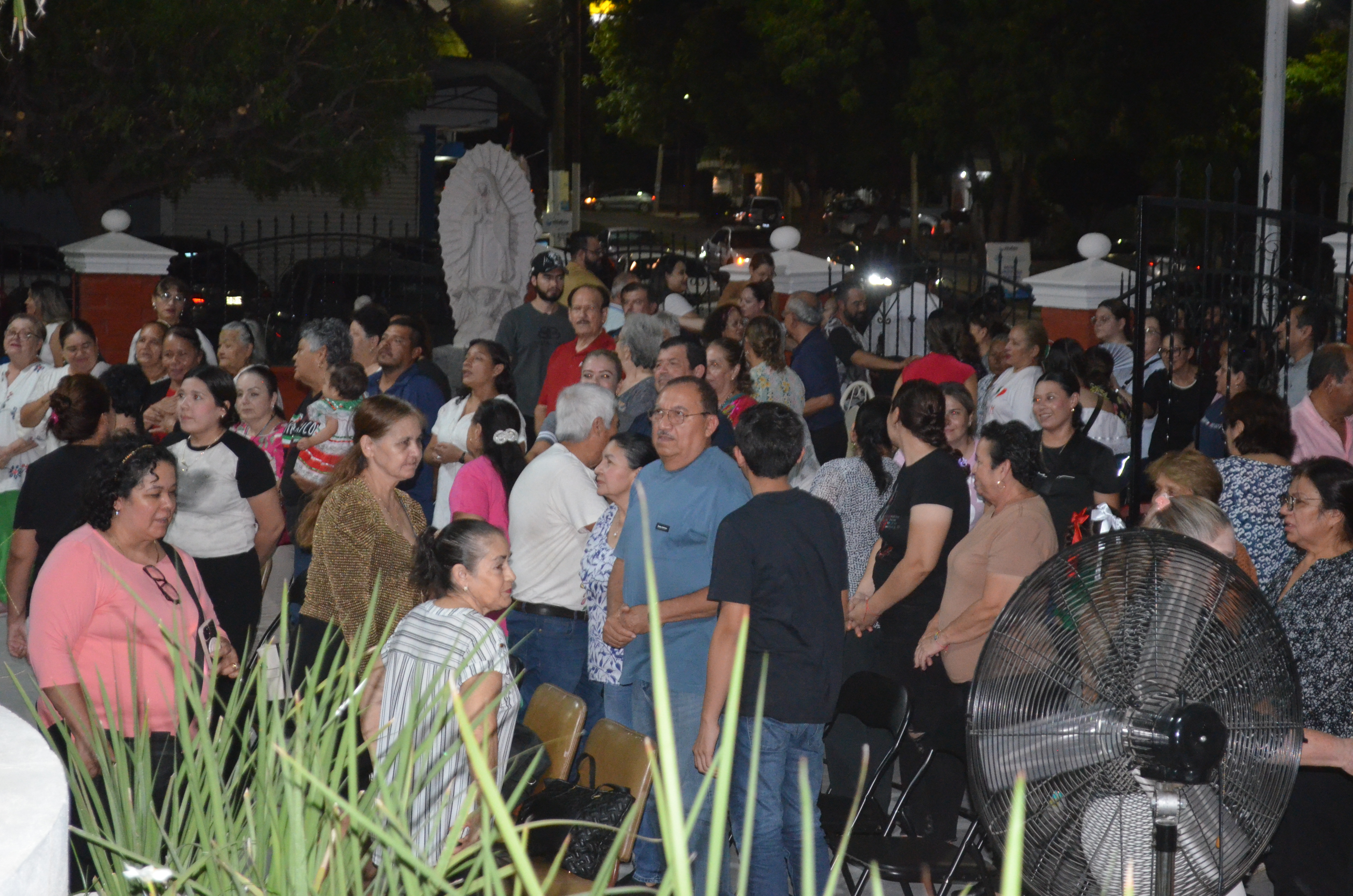 Imagen 7