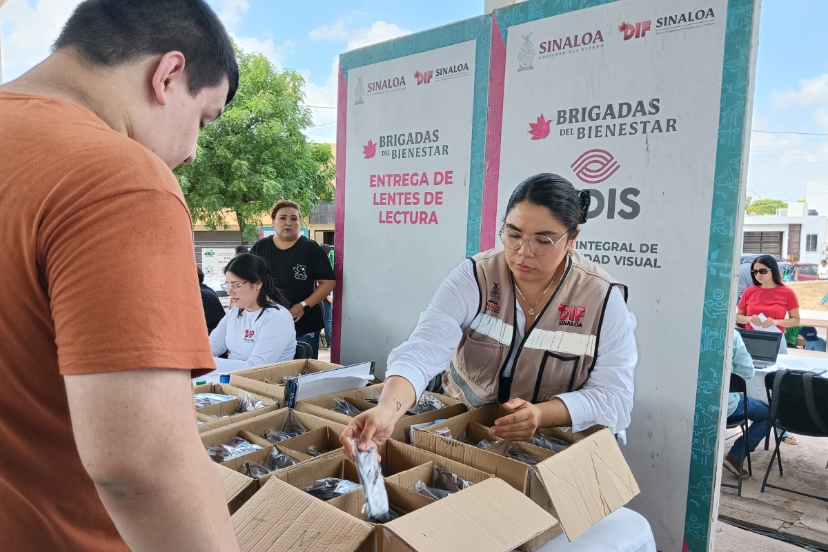 Imagen 6