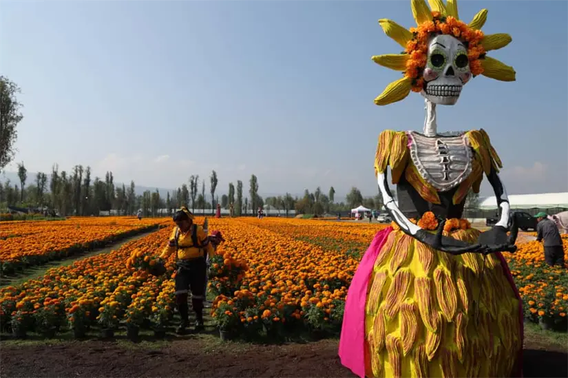 En todas las alcaldías de la CDMX se estarán realizando un sin fin de actividades por el Día de Muertos. Foto: Cortesía.