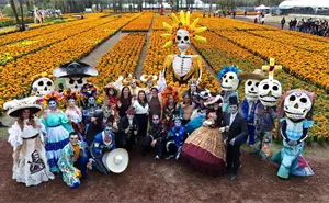 Sendero de las Almas y más: las actividades imperdibles del Día de Muertos en CDMX