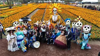Sendero de las Almas y más: las actividades imperdibles del Día de Muertos en CDMX