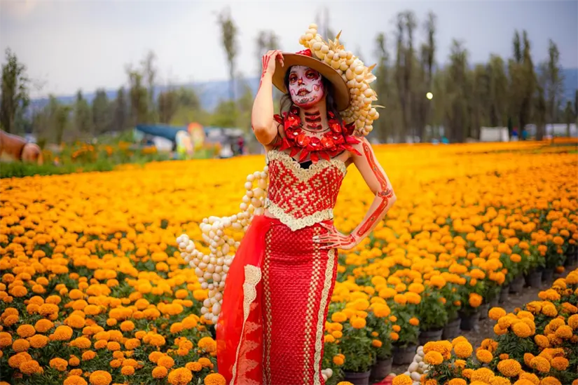 Sendero de las Almas será un recorridos turísticos en los campos de cempasúchil de Xochimilco. Foto: Cortesía.