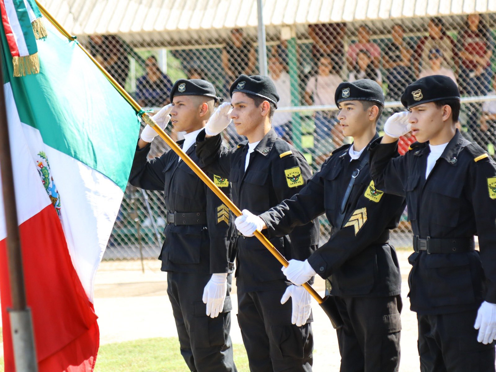 Imagen 7