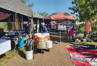 Ahorro, alimentos frescos y tradición: el tianguis Laureles Pinos cada jueves en Culiacán