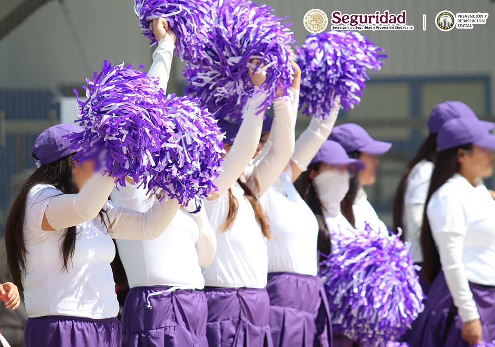 Imagen 5