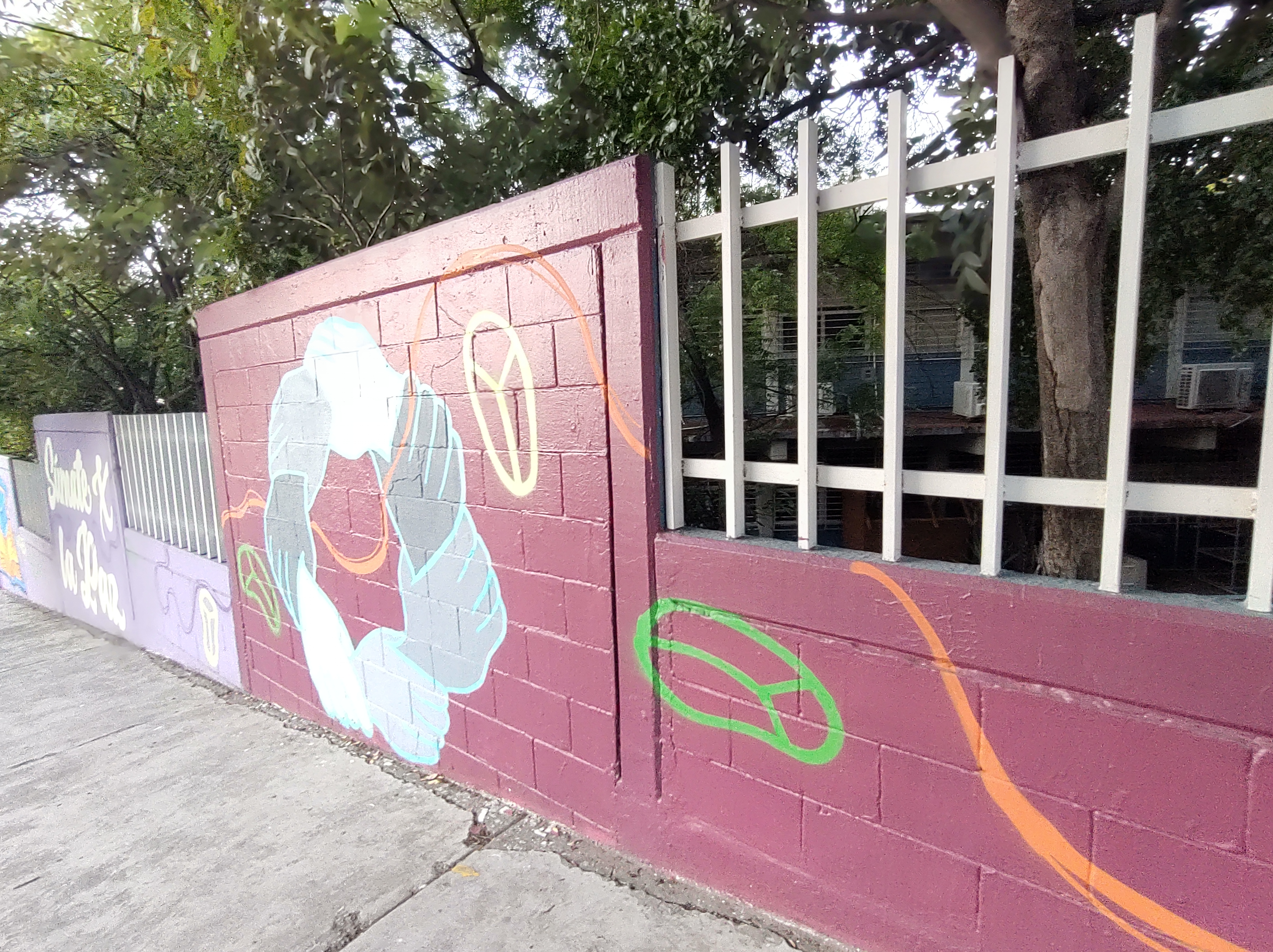 Imagen 11