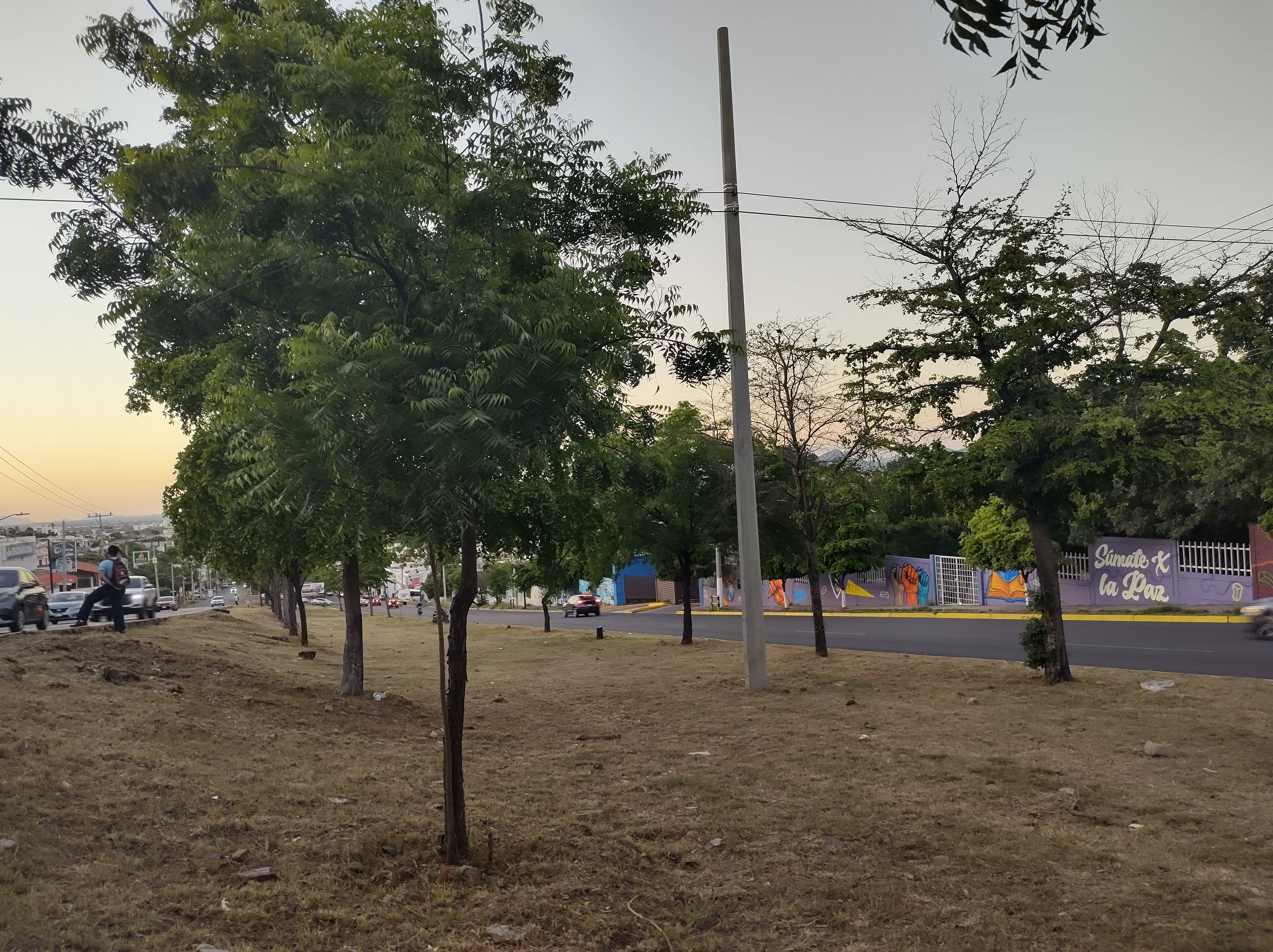 Imagen 6