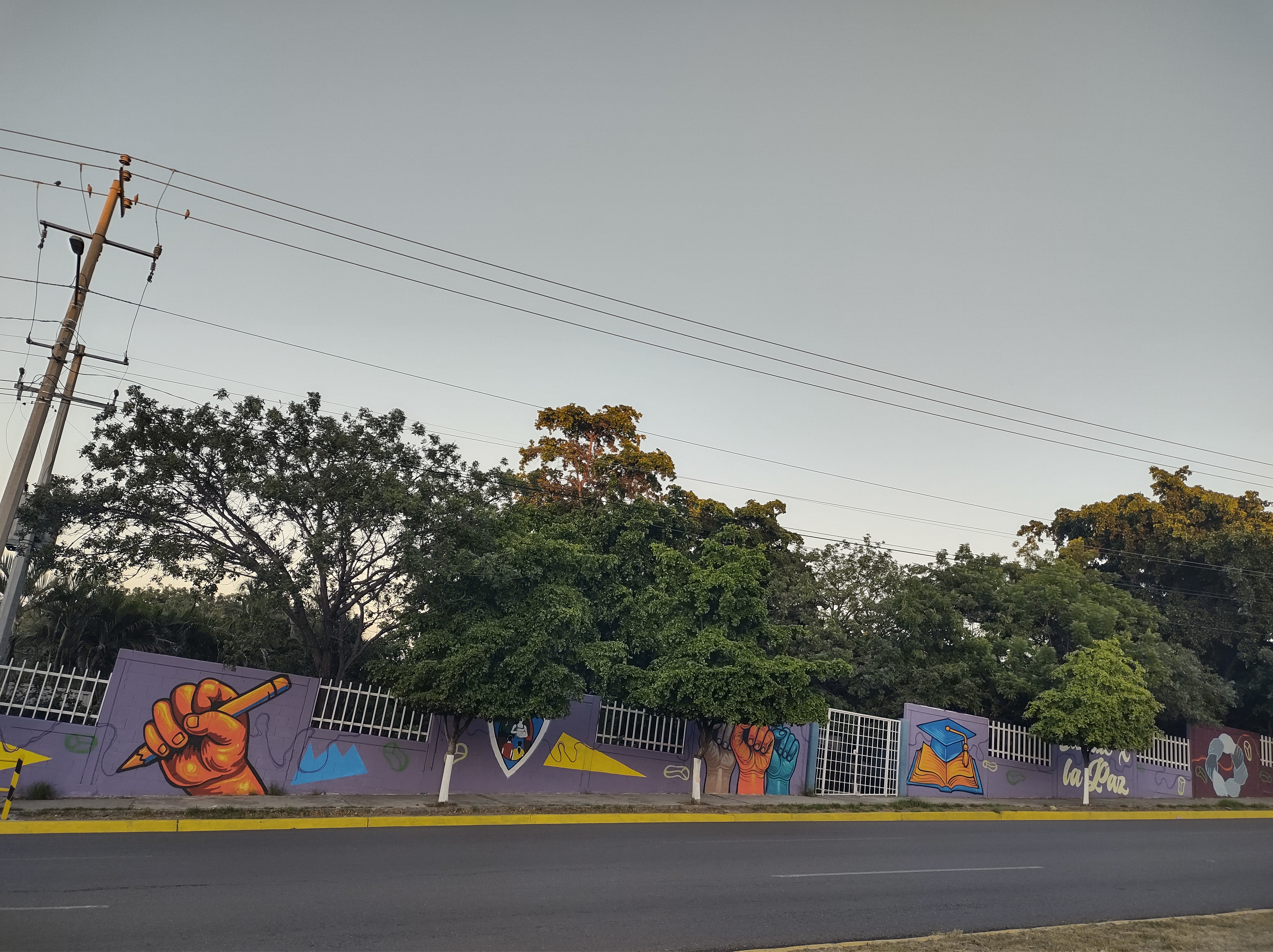 Imagen 5