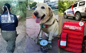 Arias, perra de rescate de GERUM, localiza sano y salvo a adulto mayor tras 52 horas perdido en Culiacán