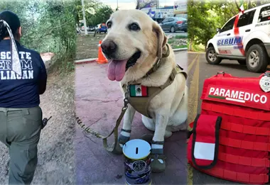 Arias, perra de rescate de GERUM, localiza sano y salvo a adulto mayor tras 52 horas perdido en Culiacán