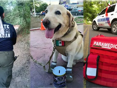 Arias, perra de rescate de GERUM, localiza sano y salvo a adulto mayor tras 52 horas perdido en Culiacán