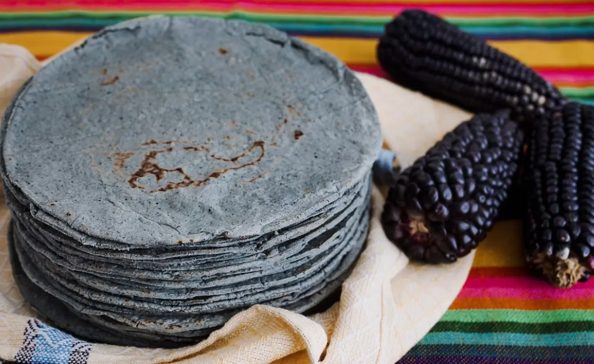 En Sinaloa no es habitual encontrar tortillas de maíz negro, pero esto está por cambiar.