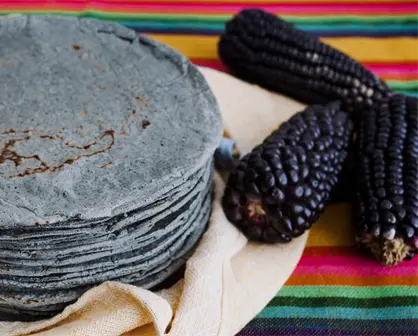Las tortillas de maíz negro nixtamalizado llegan a Sinaloa: conoce sus beneficios para salud y dónde encontrarlas