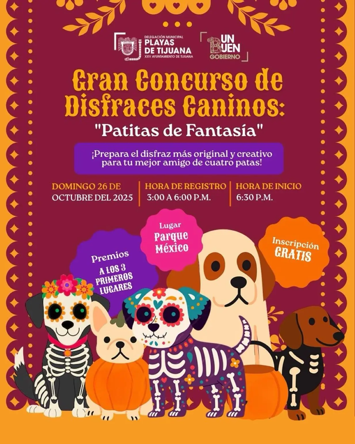 Concurso de disfraces para lomitos en Tijuana. Foto: Cortesía