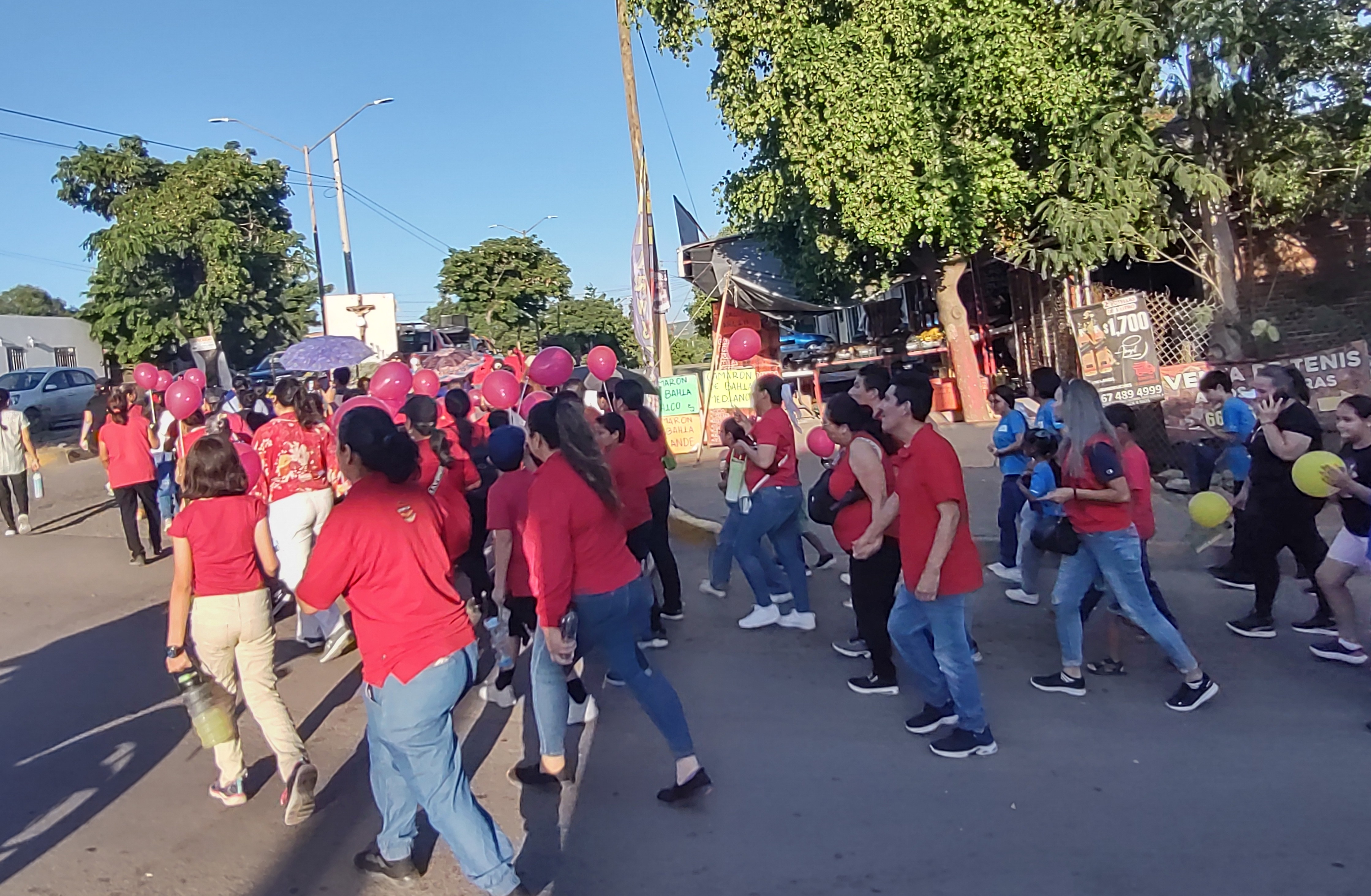 Imagen 5