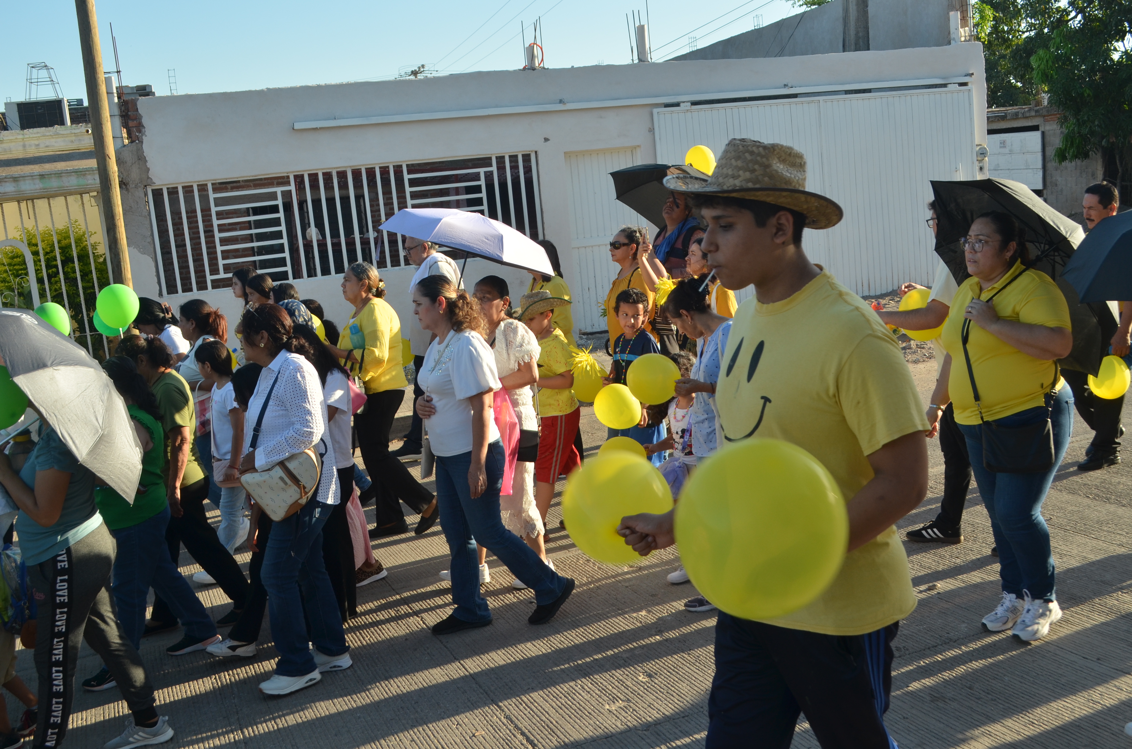 Imagen 24