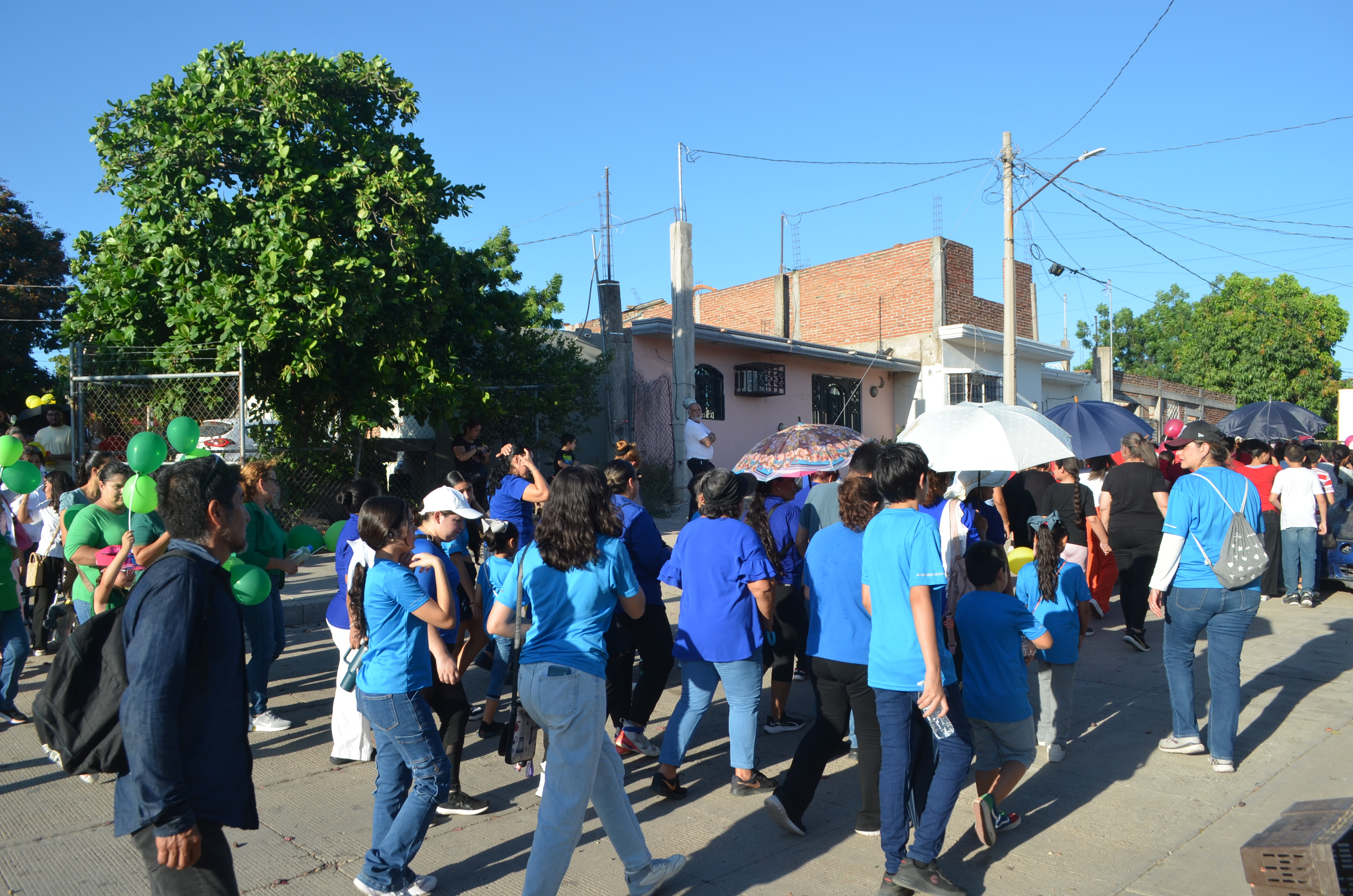 Imagen 11
