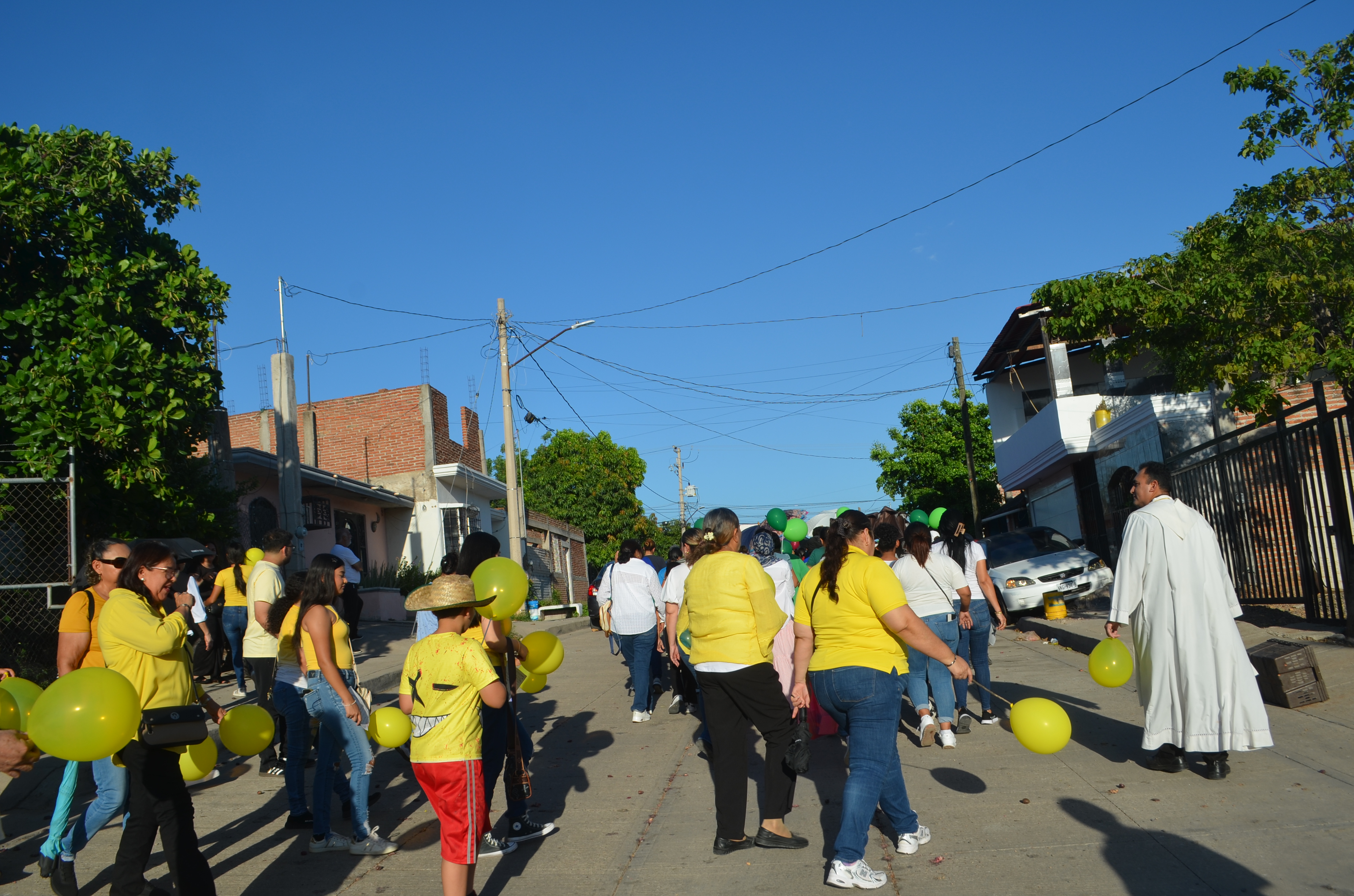 Imagen 14