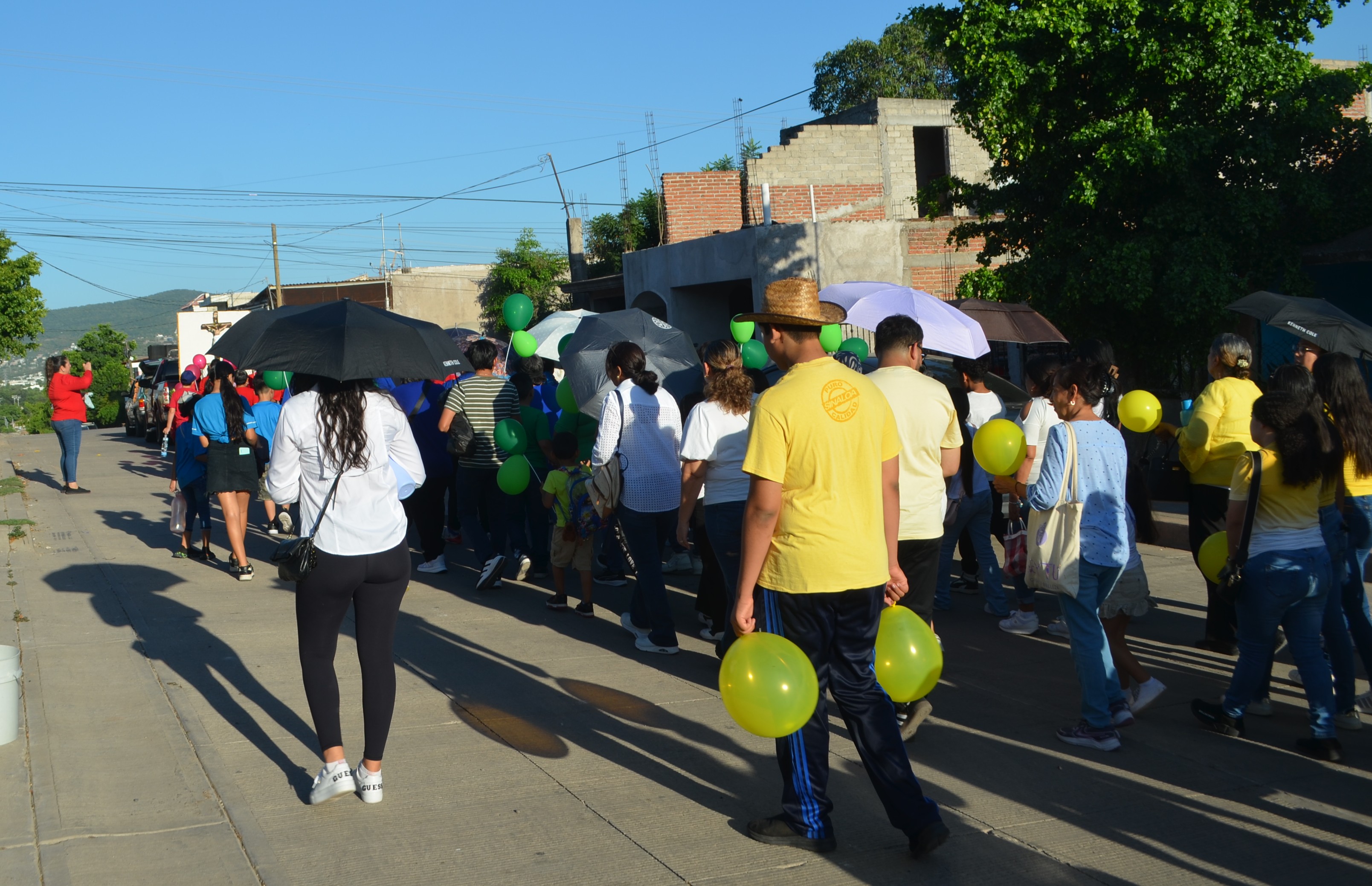 Imagen 15