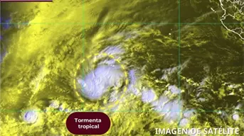 La tormenta tropical Sonia se forma en el Pacífico: ¿afectará a México?