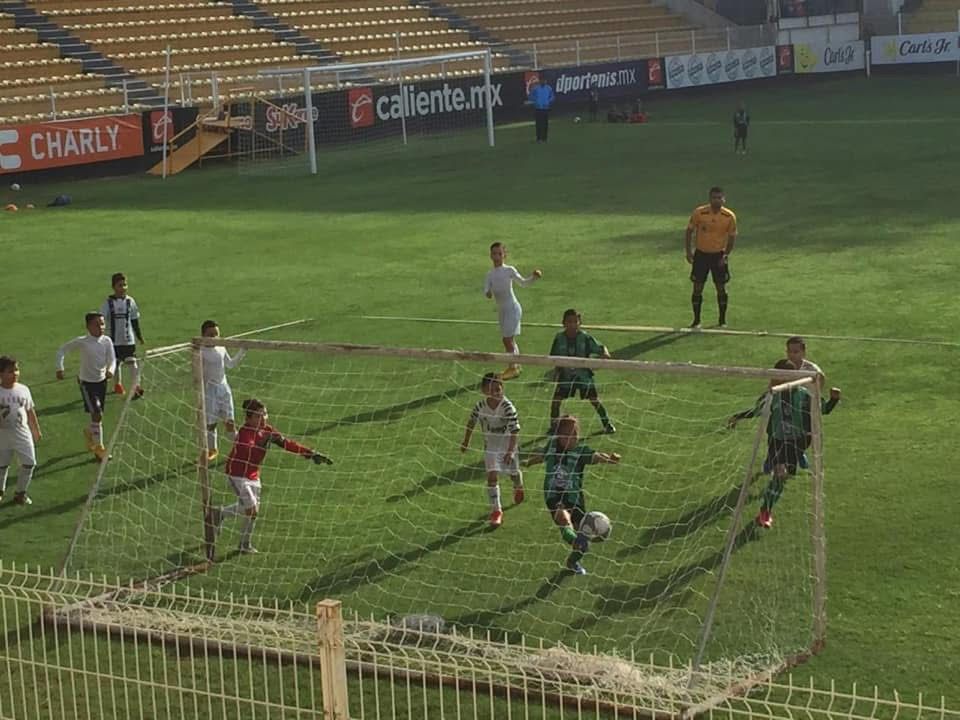 Imagen 2