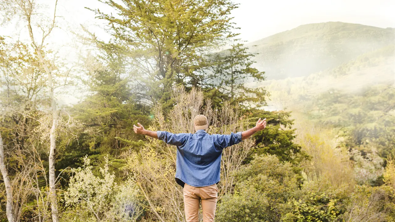35 AÑOS 35 LECCIONES.