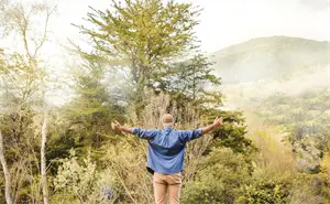 35 AÑOS 35 LECCIONES.