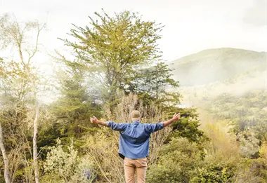 35 AÑOS 35 LECCIONES.