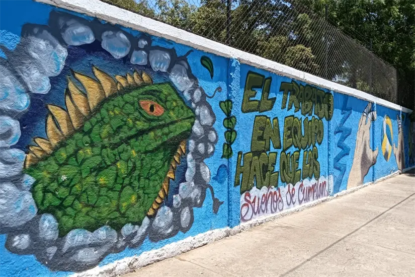 Los murales de paz, elaborados en su mayoría sobre las bardas exteriores, nacieron de la participación activa del alumnado de la Secundaria General No.5