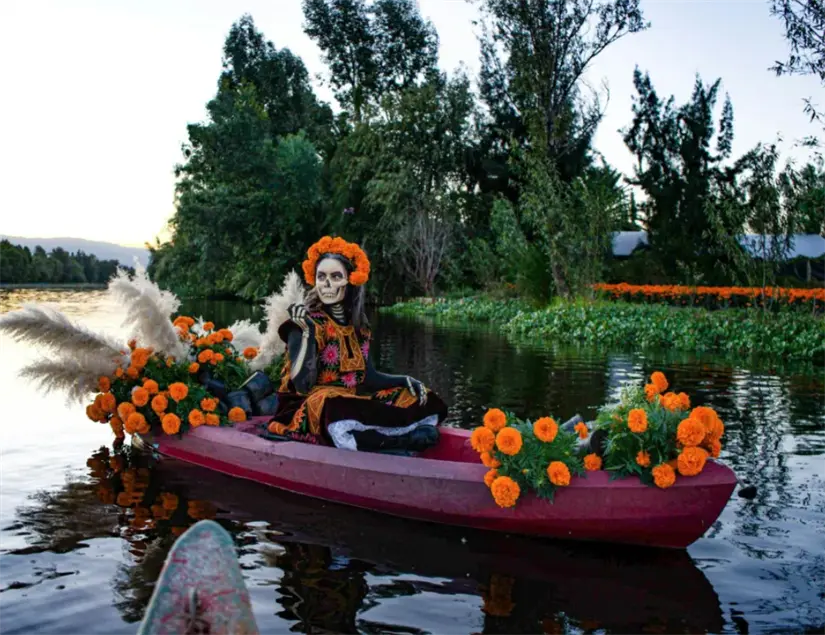 Ruta del Cempasúchil en Xochimilco. Foto: cortesía.