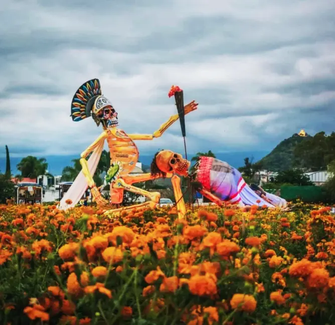 Valle de Catrinas en Atlixco, Puebla. Foto: cortesía.
