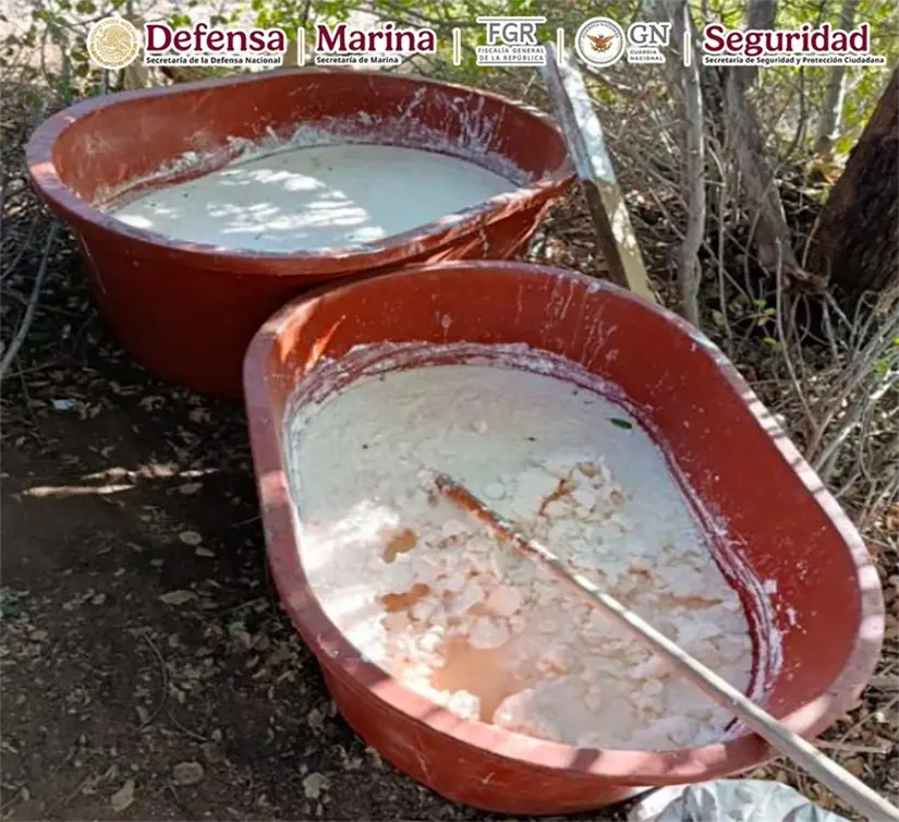 Se aseguraron más de mil litros y 100 kilos de precursores químicos para fabricar drogas. Foto: SSPC