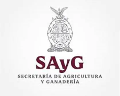 Dan apoyos económicos a 600 cacahuateros de Mocorito