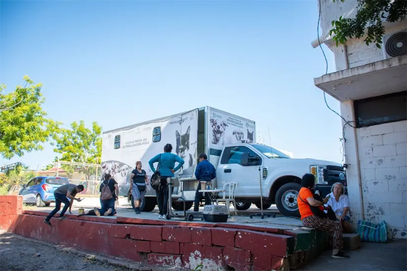 Culiacán promueve tenencia responsable con campaña de esterilización de mascotas. Foto: Ayuntamiento de Culiacán