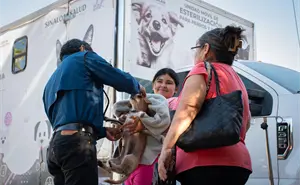 Mascotas sanas y seguras: esterilización gratuita en el sector Vallado, Culiacán