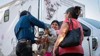 Mascotas sanas y seguras: esterilización gratuita en el sector Vallado, Culiacán