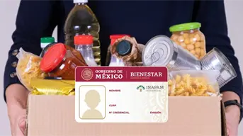 Qué alimentos incluye la despensa INAPAM y que adultos mayores pueden solicitarla