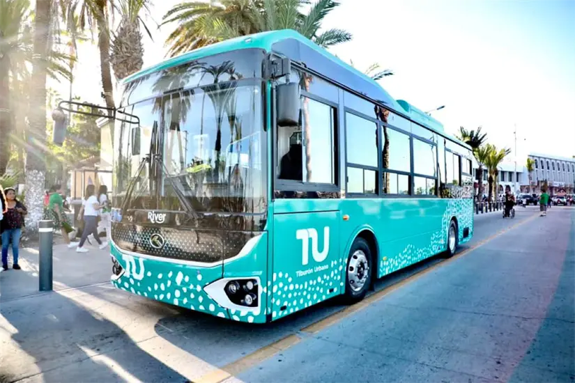 Reducen horario de servicio del transporte público por Halloween en La Paz. Foto: Cortesía