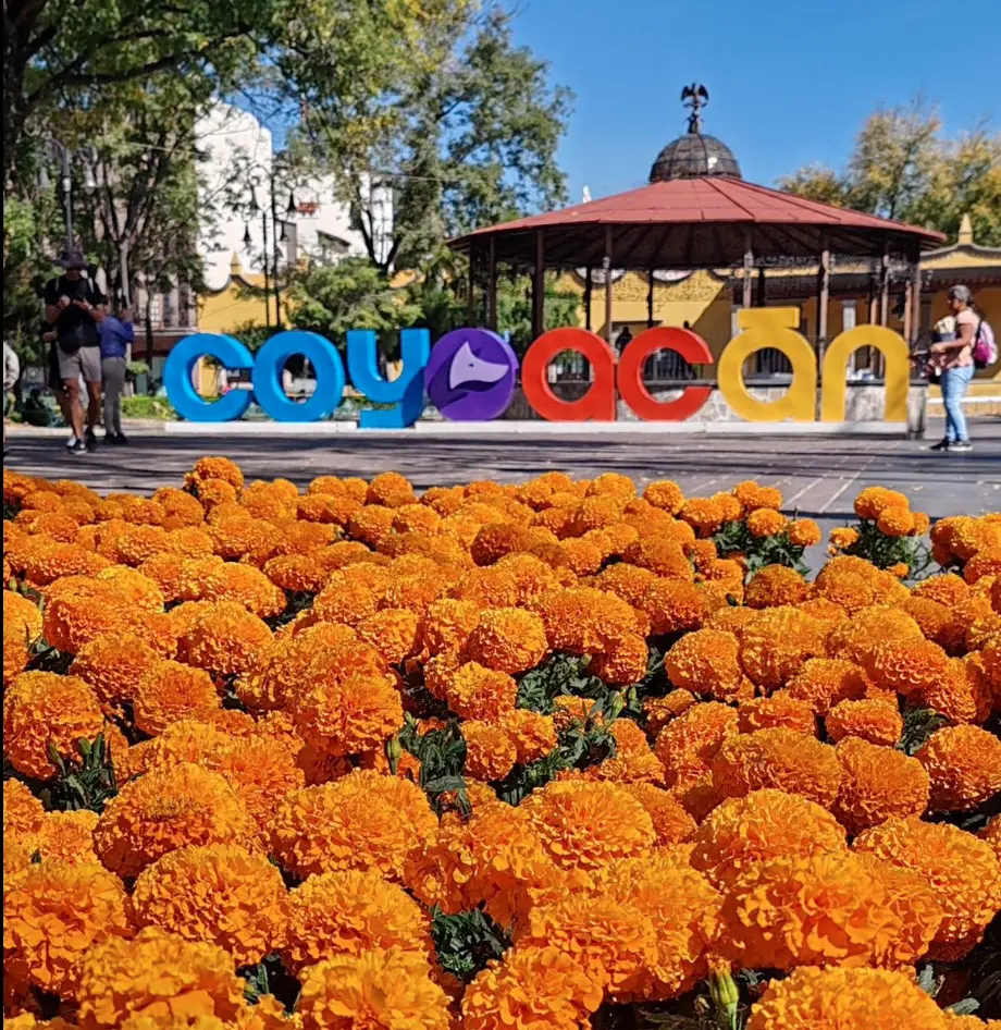 Día de Muertos en Coyoacán. Foto: cortesía.
