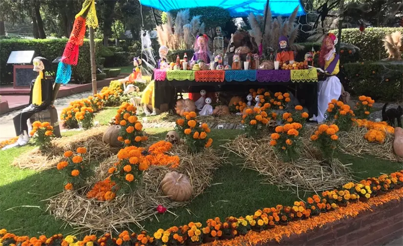 Disfruta del Día de Muertos en Coyoacán. Foto: cortesía.
