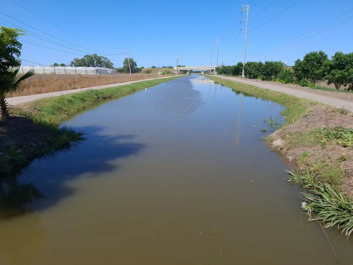 El regreso del agua a los canales del valle de Culiacán marca el inicio del ciclo agrícola y la esperanza de un nuevo impulso económico para los valles sinaloenses.