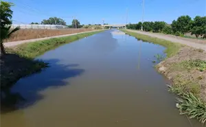 Regresa el agua a los canales del valle de Culiacán y el renacer del campo sinaloense