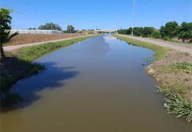 Regresa el agua a los canales del valle de Culiacán y el renacer del campo sinaloense
