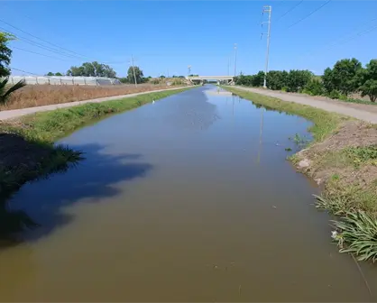 Regresa el agua a los canales del valle de Culiacán y el renacer del campo sinaloense
