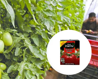 ¿Quiénes son los dueños de la empresa Del Fuerte? Líder en purés de tomate
