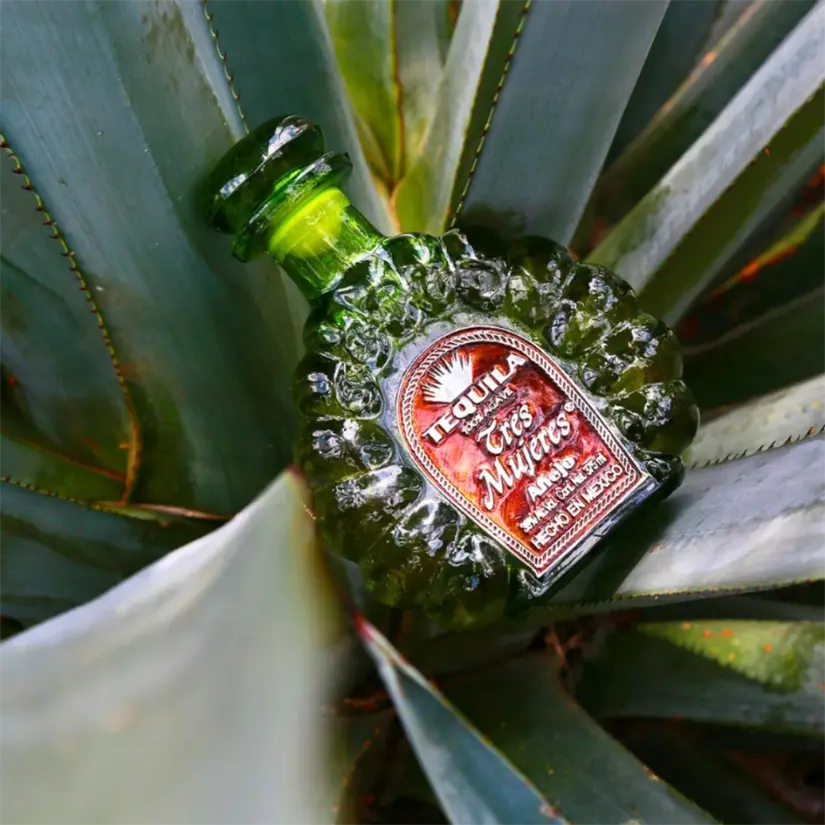 Tequila Tres Mujeres destaca por ofrecer productos de calidad excepcional. Foto: Cortesía