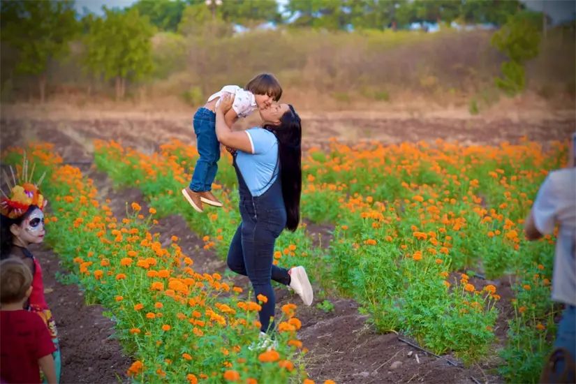 Los visitantes pueden tomarse fotos en el hermoso paisaje del campo de cempasúchil. Foto: Cortesía